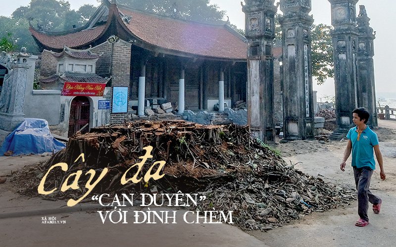 Đình Chèm - ngôi đình cổ xưa bậc nhất Việt Nam: Nguồn gốc của tên gọi Từ Liêm và cuộc kiệu đình lịch sử để lại câu hỏi lớn cho hậu thế
