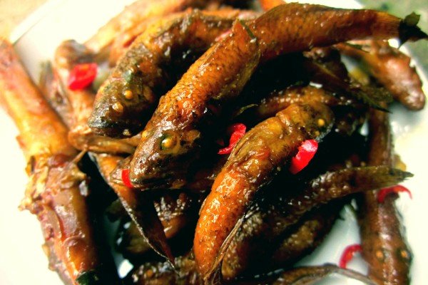 Loại cá có công dụng trị ho đủ kiểu, vừa bồi bổ cơ thể vừa tăng cường collagen nhưng người Việt giờ ít ăn - Ảnh 5.