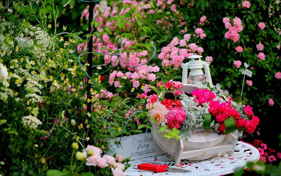 Khu vườn hoa hồng đẹp như cổ tích trên sân thượng của cô gái trẻ