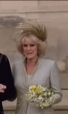 Sự khác biệt đầy phũ phàng giữa Công nương Diana với "tình địch" Camilla trong hôn lễ với Thái tử Charles chỉ trong một khoảnh khắc - Ảnh 2.