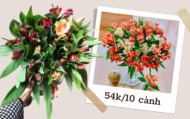 Chợ hoa online tấp nập set hoa thủy tiên, chị em bỏ 54k được 10 cành trang trí nhà cửa xinh tươi