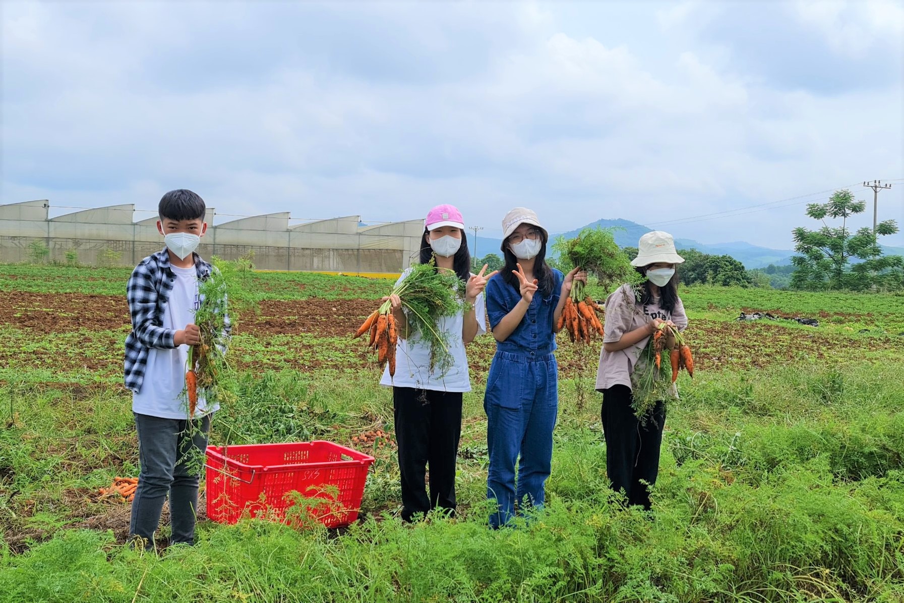 Trường TH School tại Tp. Vinh tổ chức trải nghiệm tại nông trại xanh - Ảnh 1.