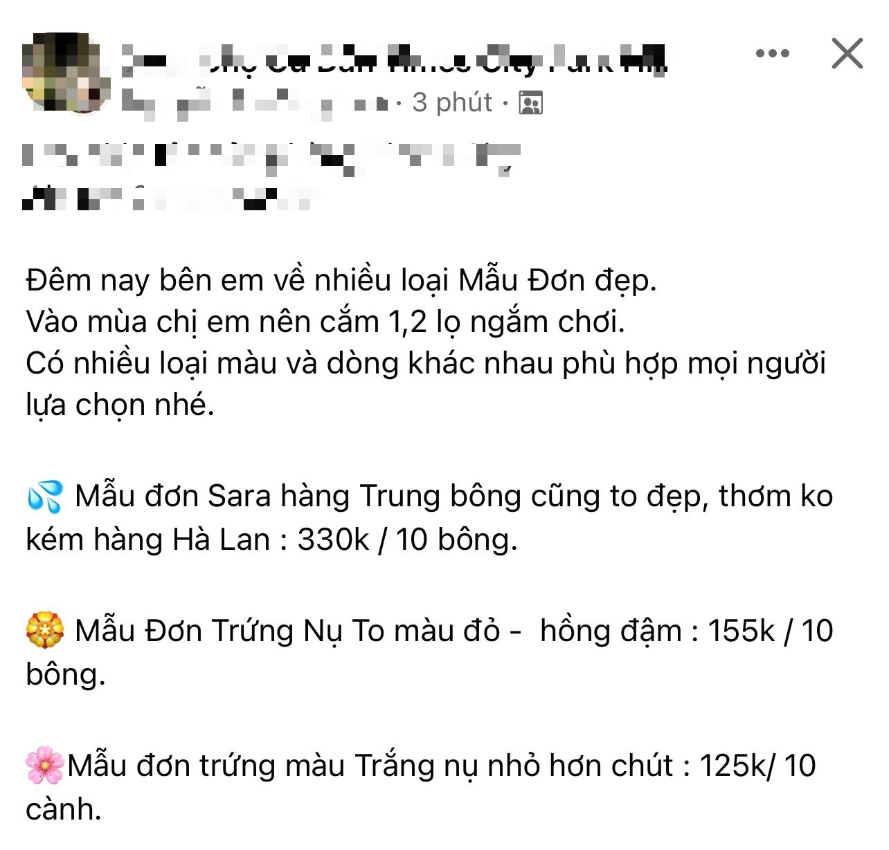 Vào mùa hoa mẫu đơn có đủ loại đủ màu tấp nập trên chợ online, giá chỉ từ 100k được hẳn 10 cành - Ảnh 3.