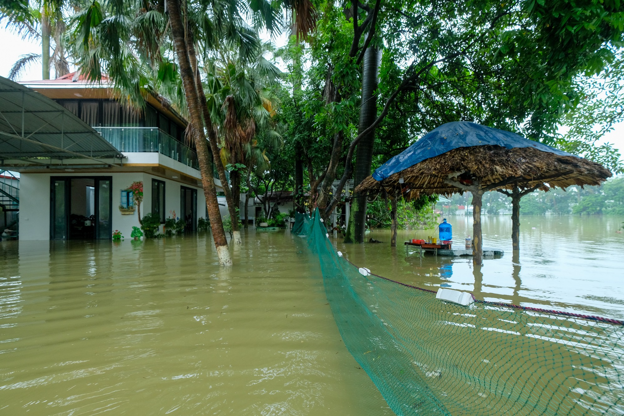 Mưa ngớt, người dân Hà Nội vẫn lội bì bõm đánh cá quanh nhà, nơi mò mẫm cắt hoa vớt vát tài sản - Ảnh 1.