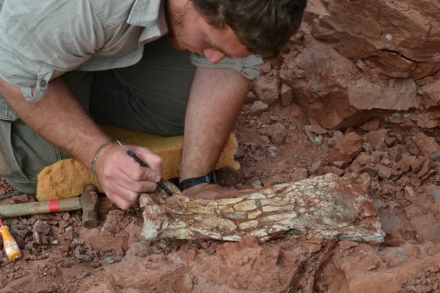 Khai quật xương hóa thạch khổng lồ, các nhà khoa học ngỡ ngàng về loài vật biết bay sống cách đây 86 triệu năm - Ảnh 1.