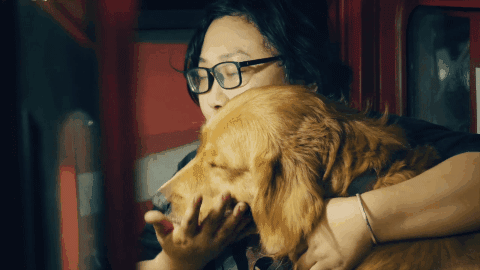 Cô gái sống lang bạt chấp nhận chuyển nhà 21 lần vì nuôi 2 chú chó, và những câu chuyện chan nước mắt lẫn tiếng cười  - Ảnh 13.