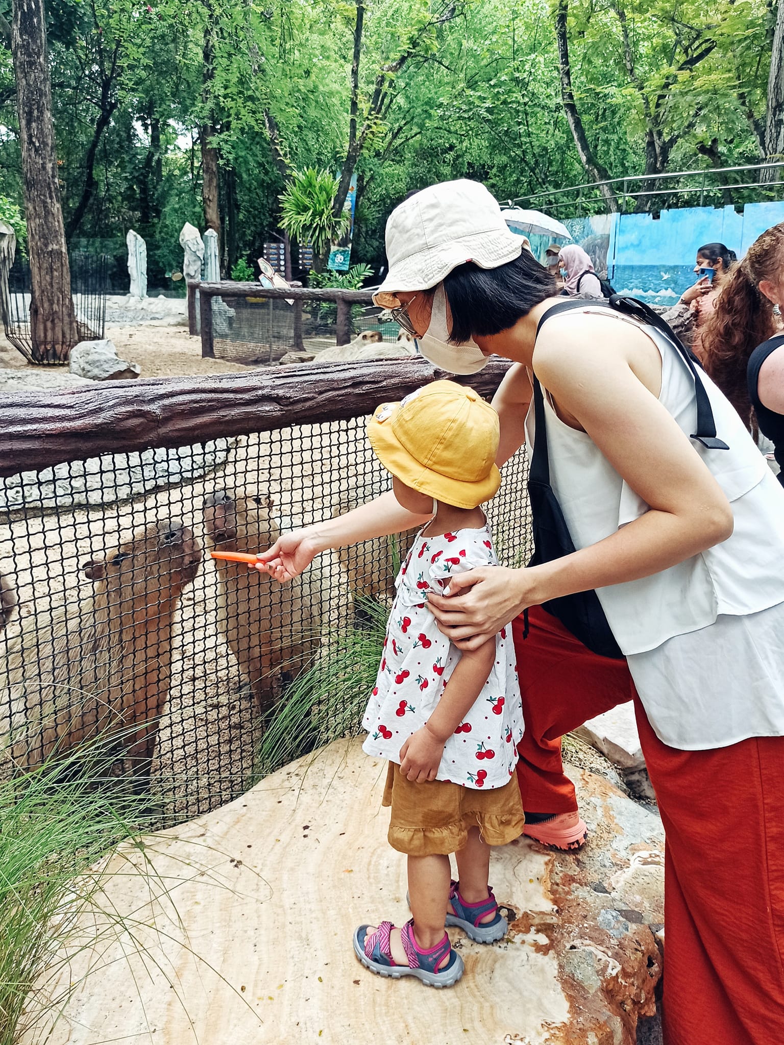 3 mẹ con ''lang thang'' tại Thái Lan 6 ngày 5 đêm, bật mí kinh nghiệm chuẩn bị ra sao, ăn những gì, chơi ở đâu tại xứ sở chùa vàng - Ảnh 4.