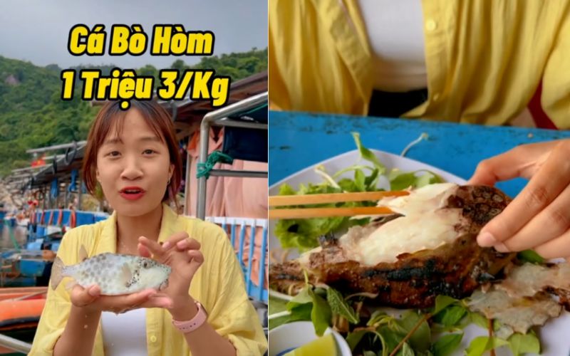 Dân mạng tranh cãi về một loài cá có giá hơn 1 triệu/kg nhỏ bằng nắm tay nhưng vị như thịt gà, &quot;vậy sao không mua con gà hơn 200k mà ăn?&quot;