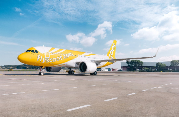Tham khảo những quy định về thủ tục bay của hãng hàng không Scoot - Ảnh 1.