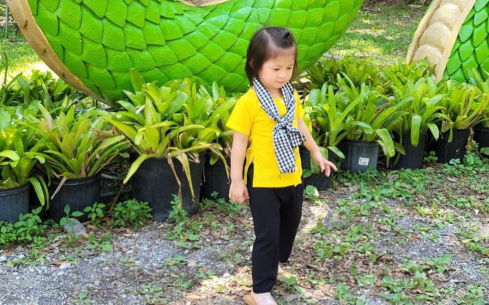 Sinh ở Mỹ, bé gái “hợp đất” Việt Nam, nói tiếng Việt làm mẹ rụng tim