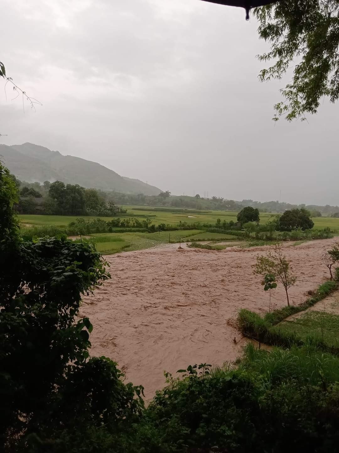 Phố núi Sơn La ngập nặng sau mưa lớn, bộ đội sơ tán dân trong nước lũ cuồn cuộn - Ảnh 12.