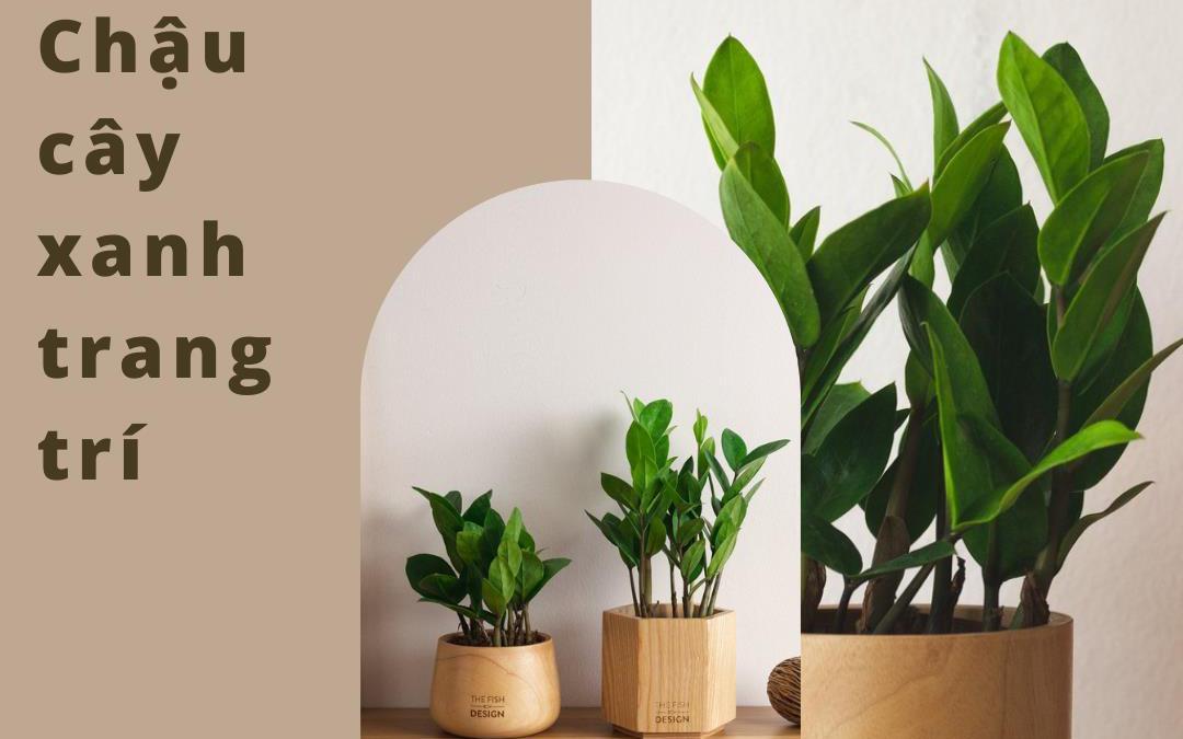 Xua tan nắng nóng mùa hè với 4 mẹo trang trí phòng ngủ xanh mát chỉ từ 79K