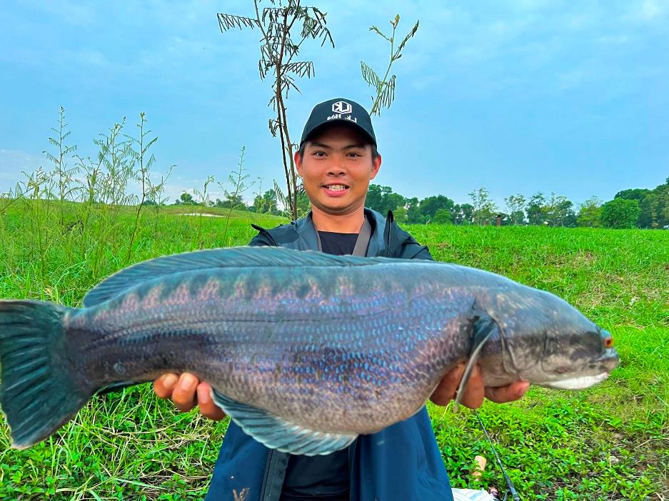 Mất trắng sau dịch, chàng trai Nghệ An rẽ hướng làm cần thủ triệu follower trên TikTok - Ảnh 1.