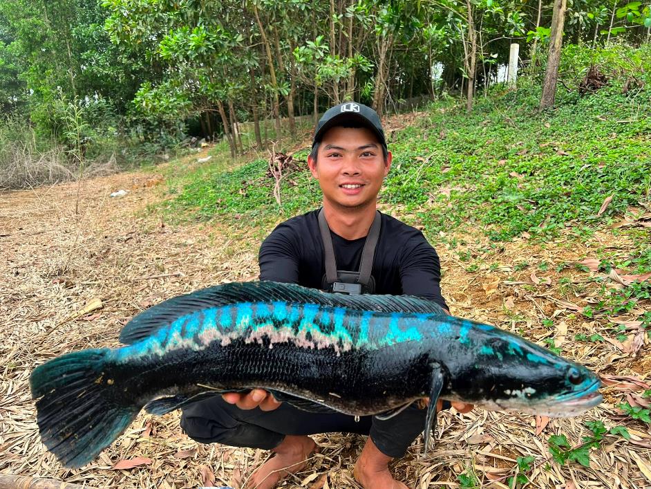 Mất trắng sau dịch, chàng trai Nghệ An rẽ hướng làm cần thủ triệu follower trên TikTok - Ảnh 2.