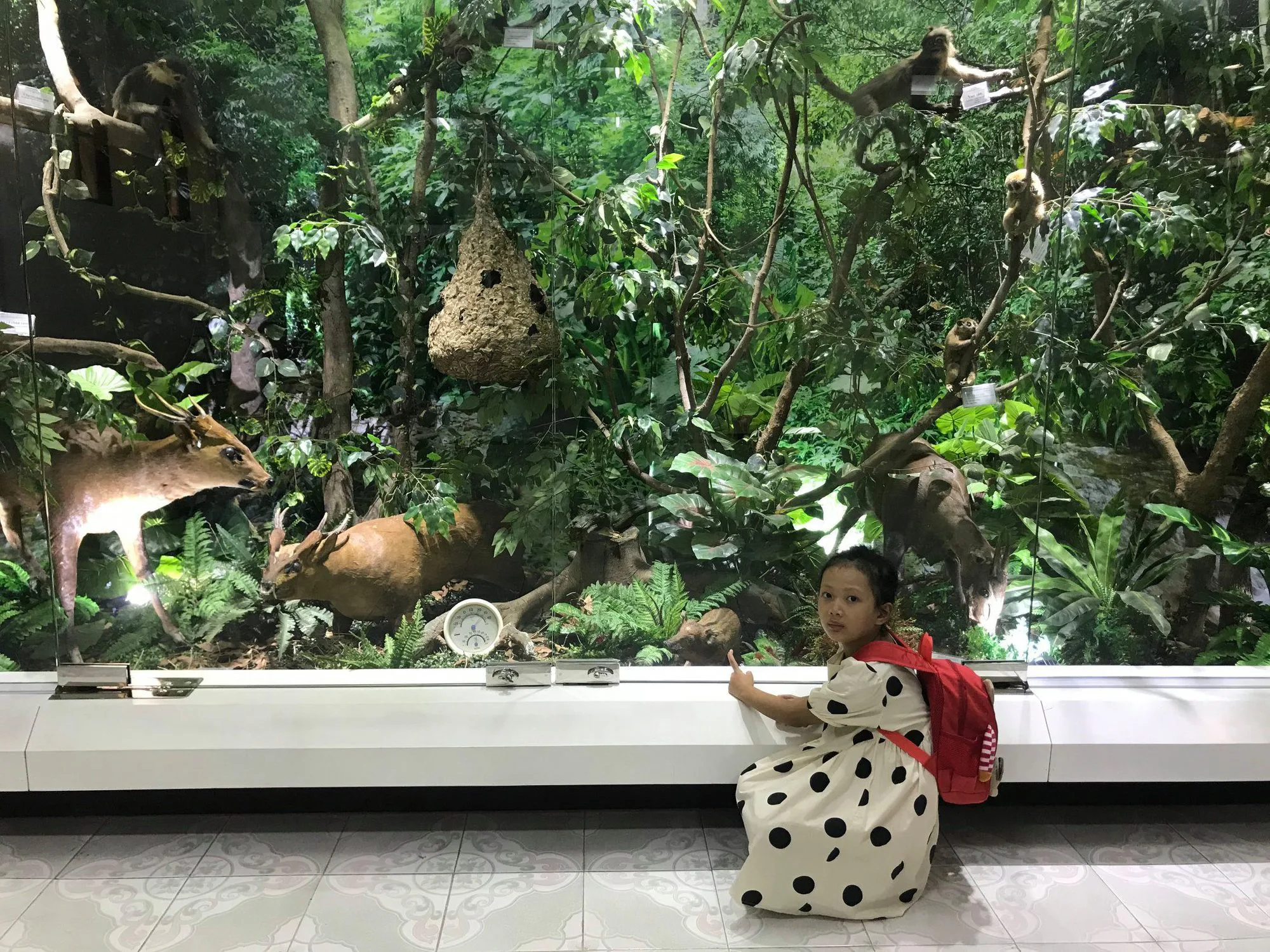 Khám phá Bảo tàng rừng Việt Nam cùng trải nghiệm vườn thực vật quý hiếm của thiên nhiên tuyệt diệu - Ảnh 2.