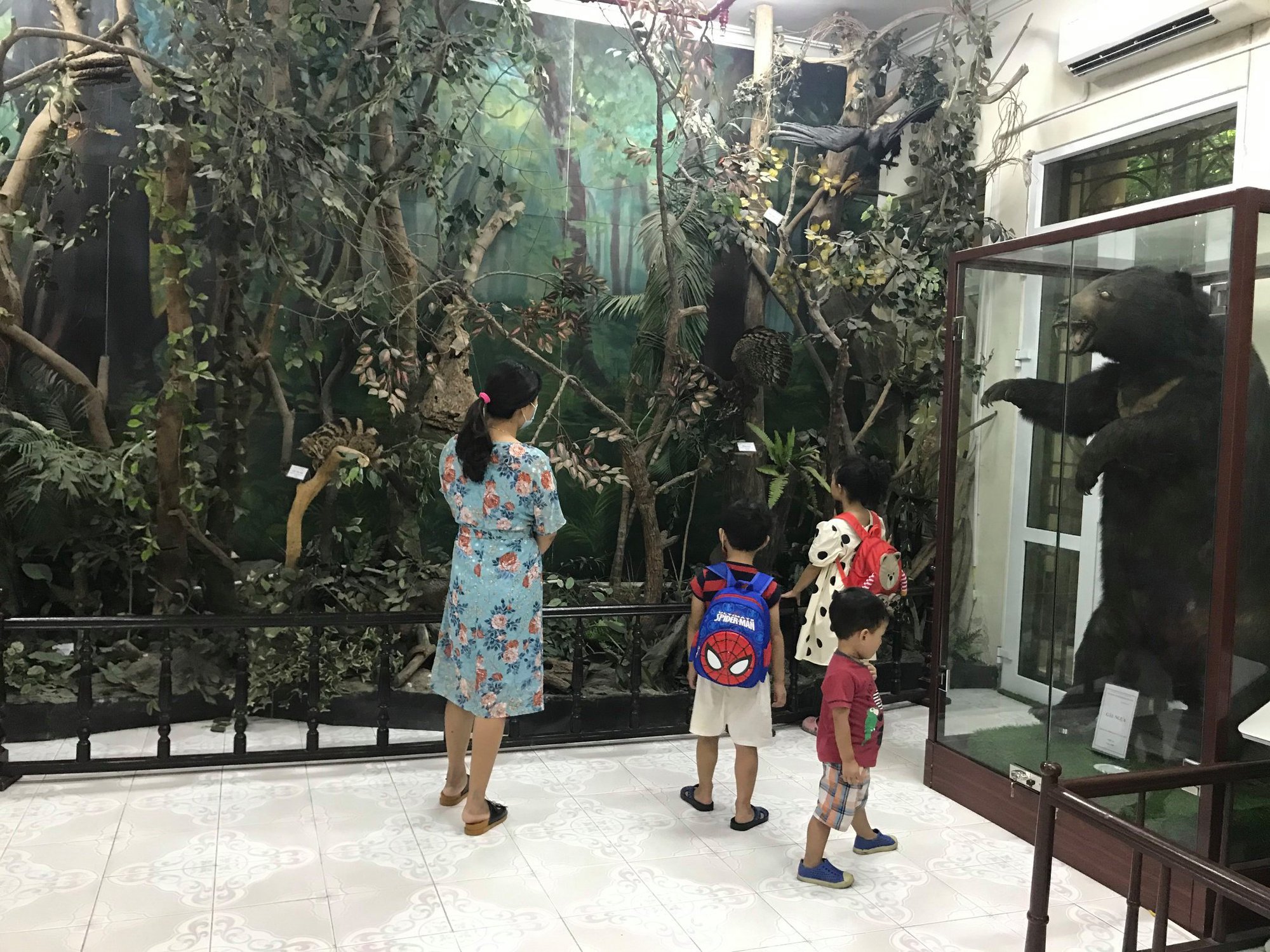 Khám phá Bảo tàng rừng Việt Nam cùng trải nghiệm vườn thực vật quý hiếm của thiên nhiên tuyệt diệu - Ảnh 1.