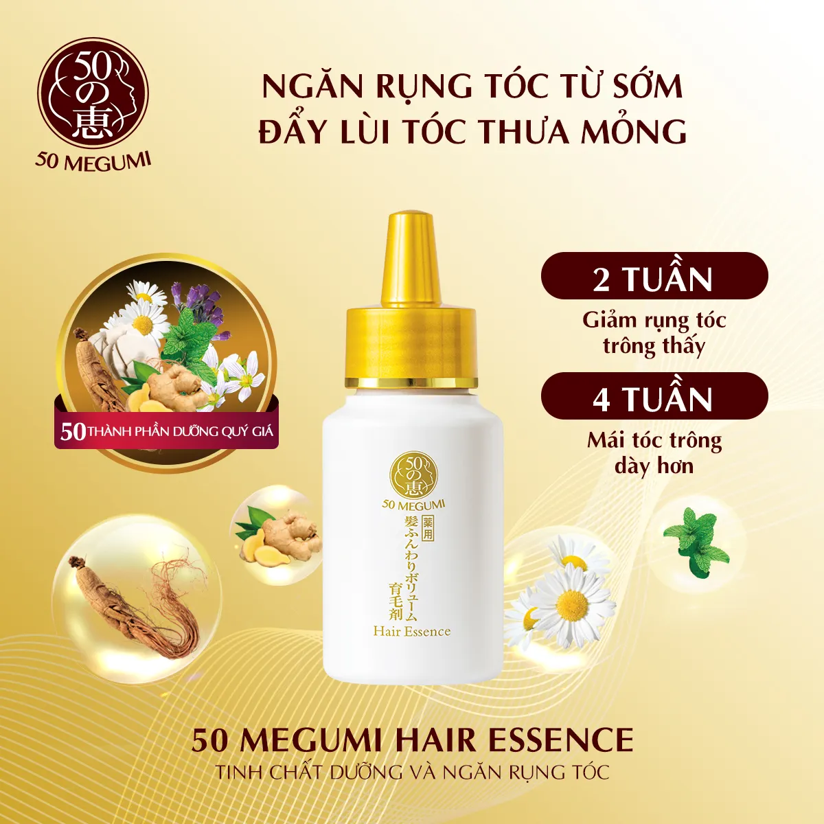 5 chiêu chăm sóc và ngăn ngừa rụng tóc vào mùa thu - Ảnh 14.