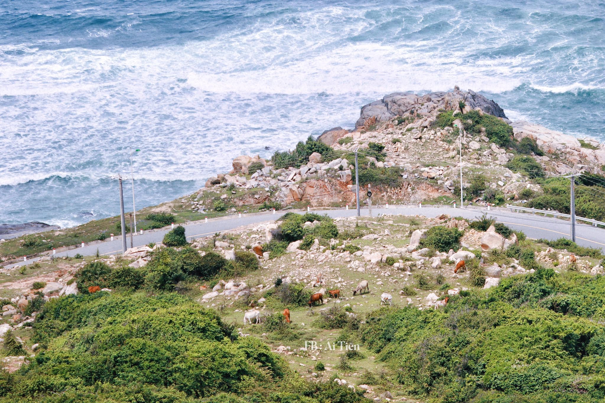 Lưu lại kỷ niệm quý giá bên con qua chuyến du lịch trải nghiệm Cam Lâm, Nha Trang, Khánh Hoà - Ảnh 1.