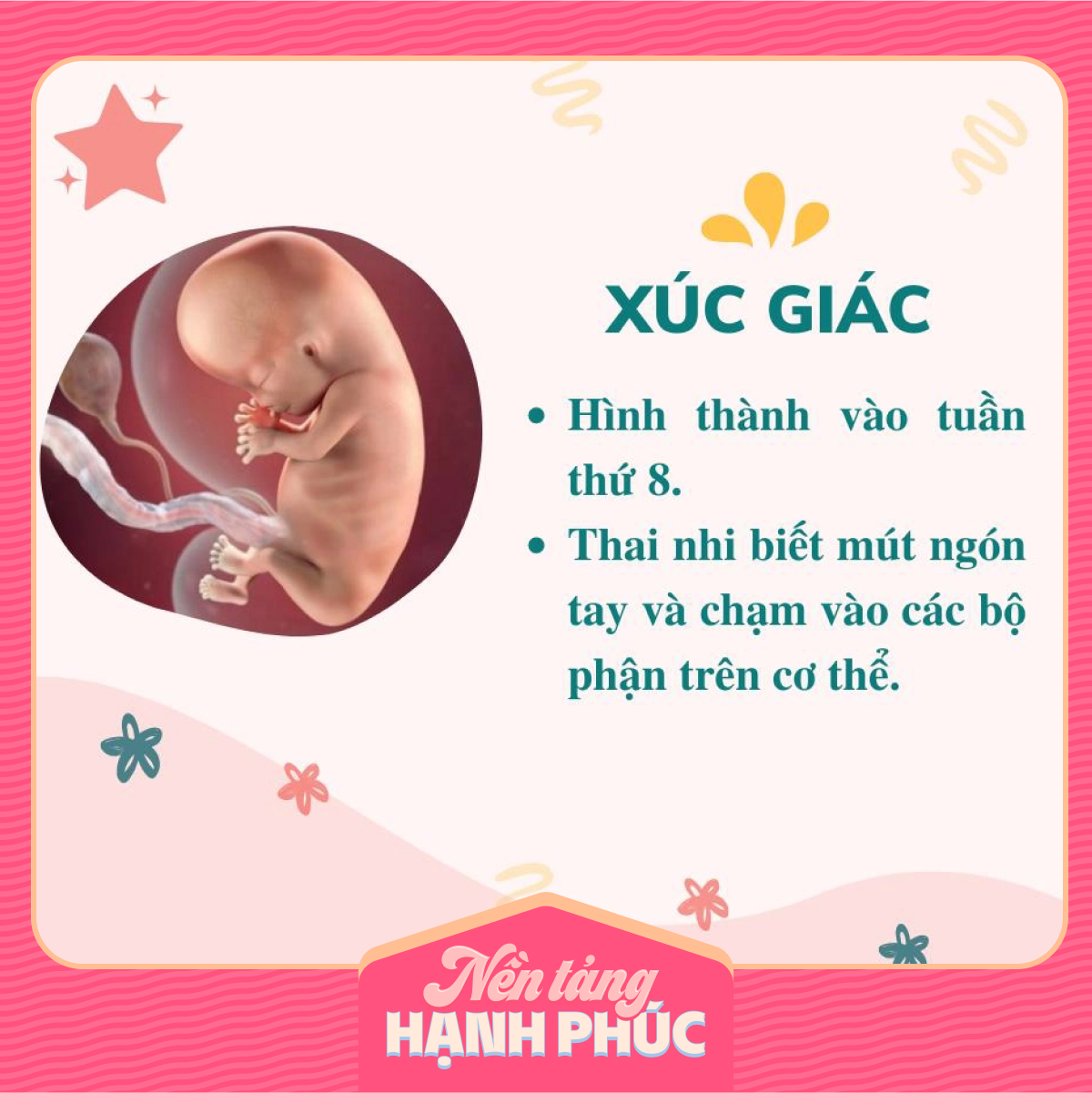 Mẹ có biết các giác quan của thai nhi phát triển theo từng tháng trong bụng mẹ như thế nào? - Ảnh 1.