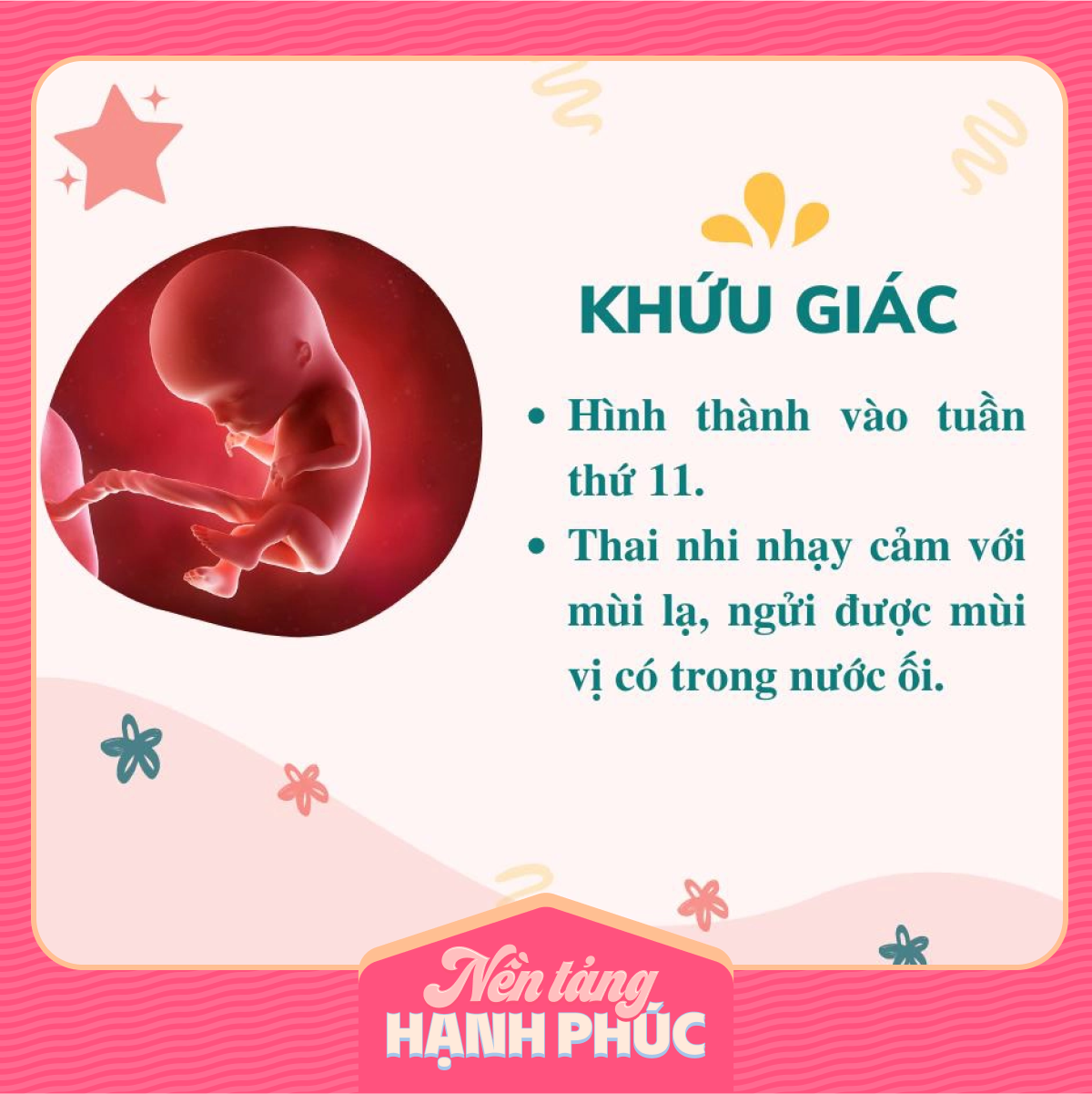 Mẹ có biết các giác quan của thai nhi phát triển theo từng tháng trong bụng mẹ như thế nào? - Ảnh 2.