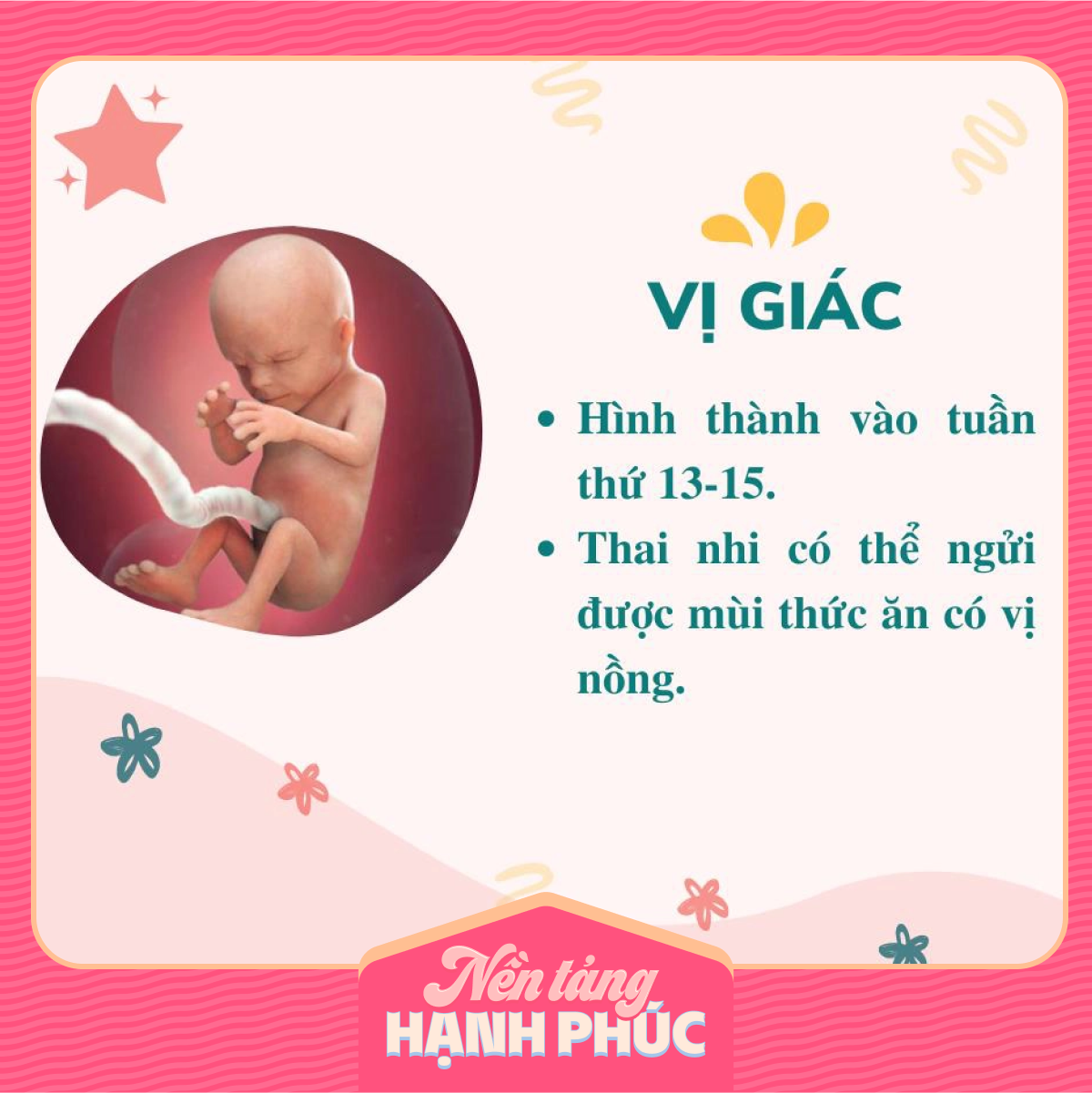 Mẹ có biết các giác quan của thai nhi phát triển theo từng tháng trong bụng mẹ như thế nào? - Ảnh 3.