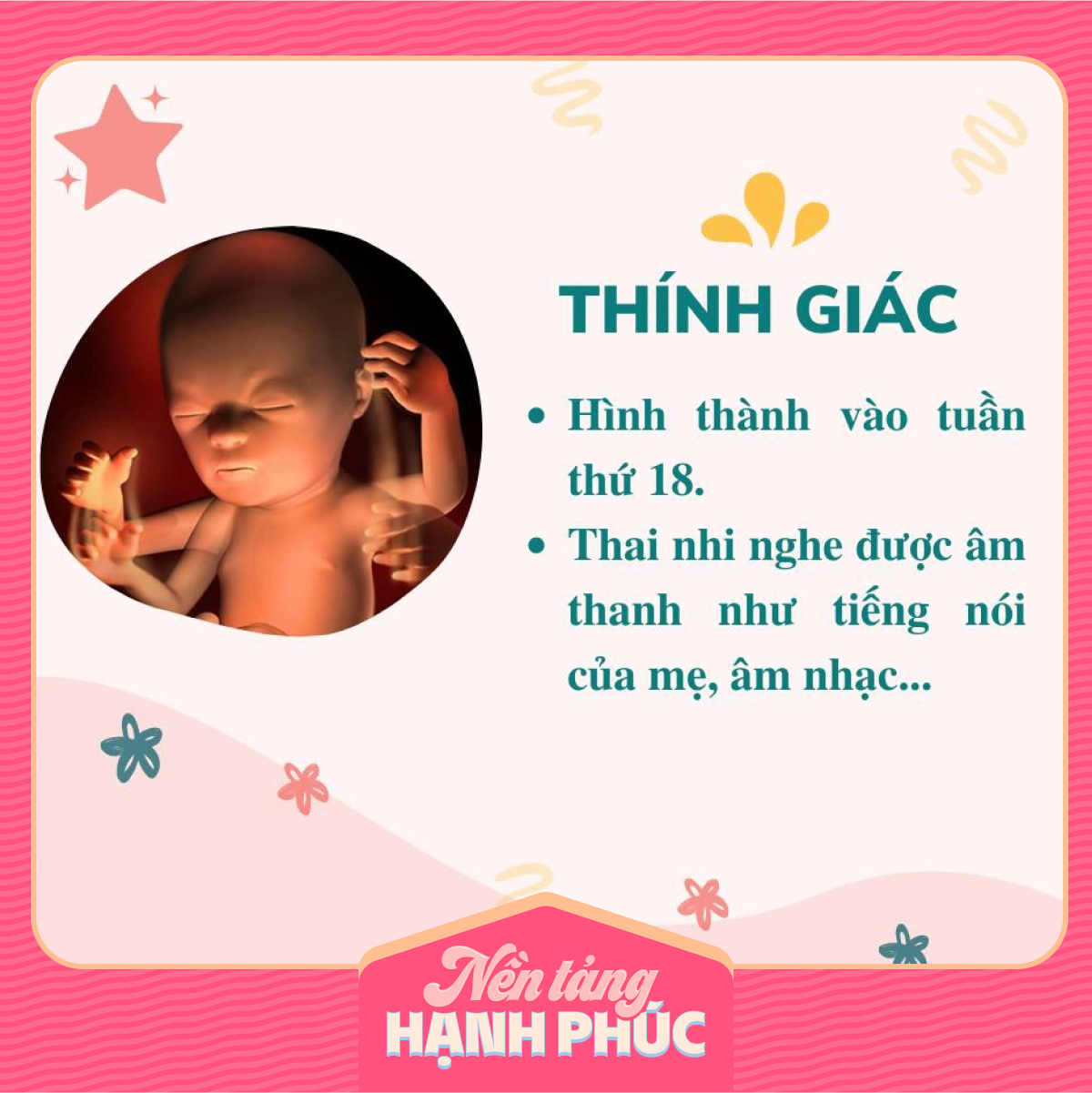 Mẹ có biết các giác quan của thai nhi phát triển theo từng tháng trong bụng mẹ như thế nào? - Ảnh 4.