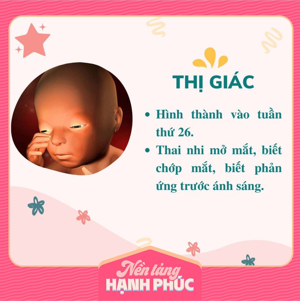 Mẹ có biết các giác quan của thai nhi phát triển theo từng tháng trong bụng mẹ như thế nào? - Ảnh 5.