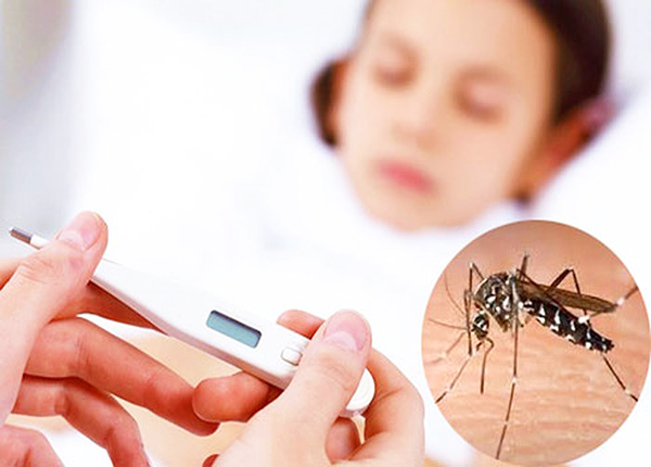 Nghiên cứu mới giúp phát hiện sớm ca bệnh sốt xuất huyết có nguy cơ tử vong - Ảnh 2.