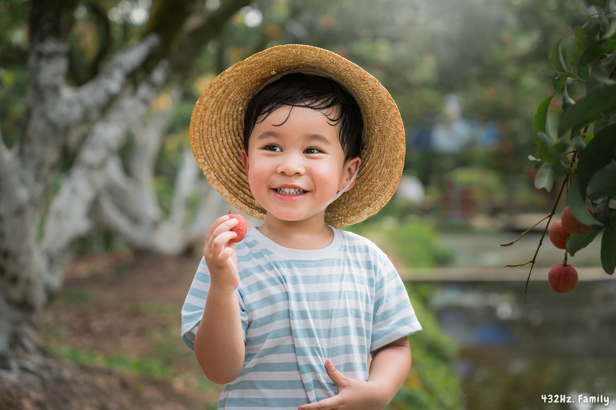 Trốn nóng Hà Nội, em bé cùng bố mẹ trải nghiệm ngồi ghe tự tay hái và thưởng thức vải trên đất Thanh Hà - Ảnh 5.