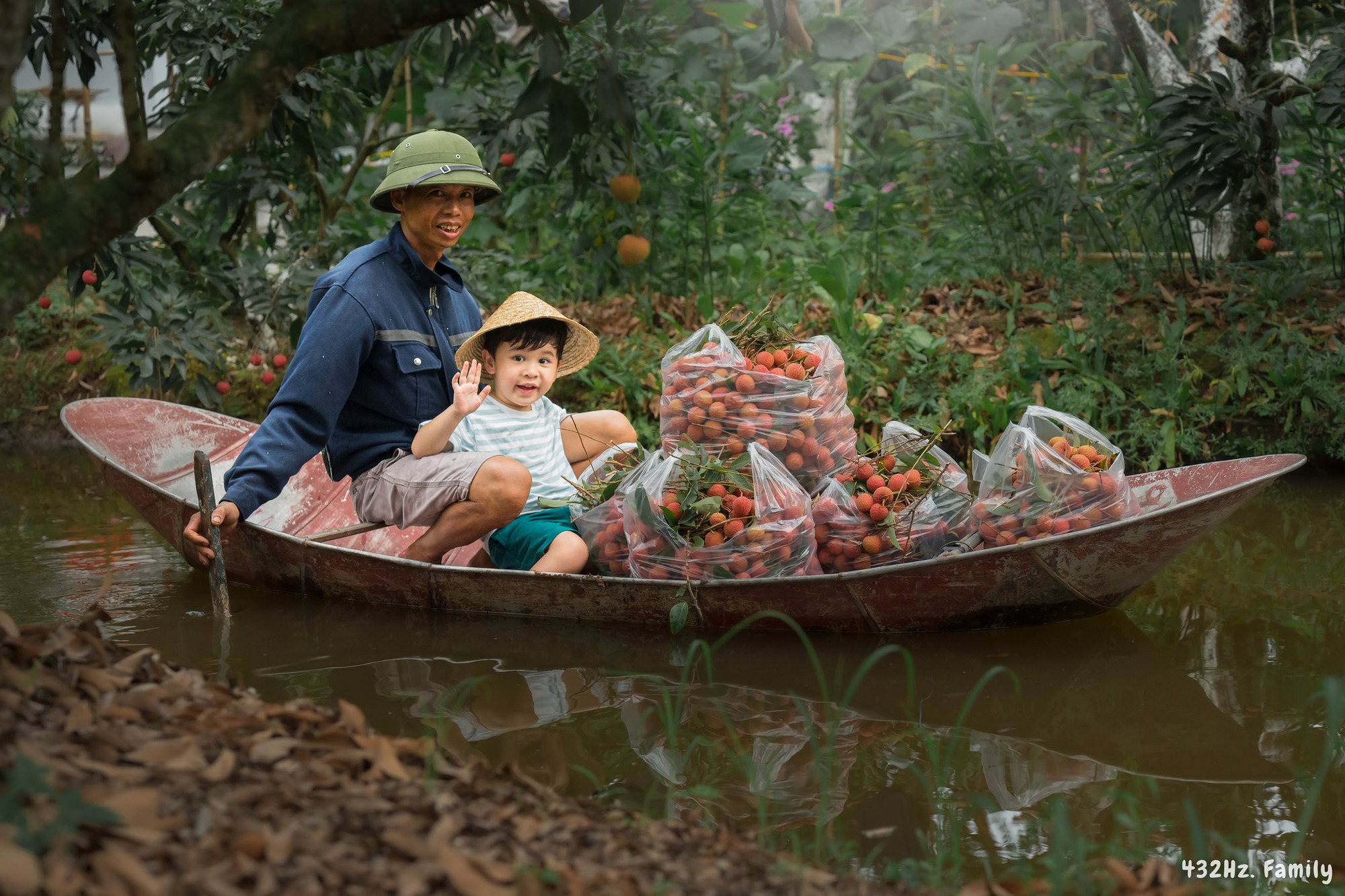 Trốn nóng Hà Nội, em bé cùng bố mẹ trải nghiệm ngồi ghe tự tay hái và thưởng thức vải trên đất Thanh Hà - Ảnh 3.