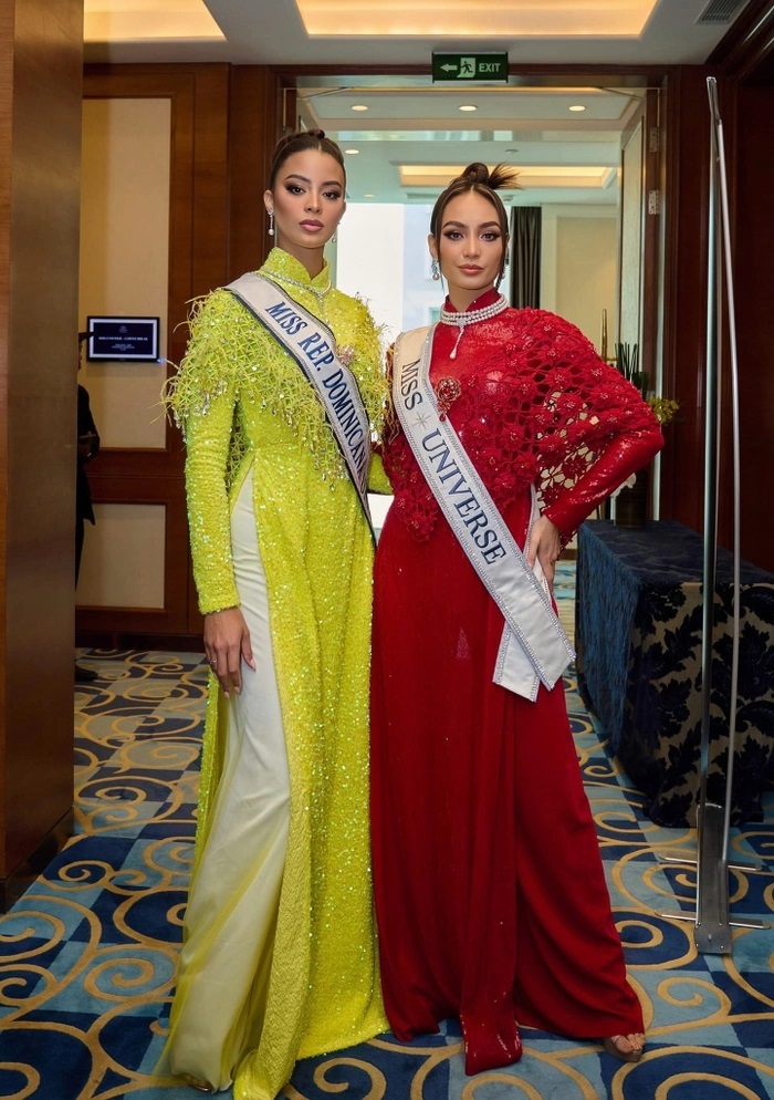 Điểm chung của các hoa hậu quốc tế khi diện áo dài truyền thống Việt Nam - Ảnh 12.