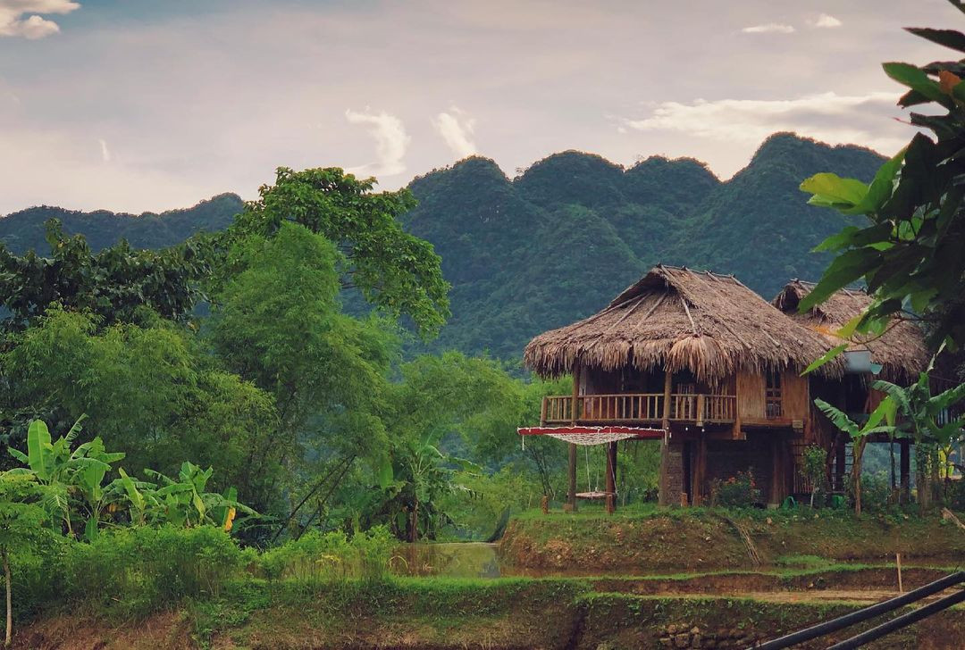 Bắt trọn &quot;thời điểm vàng&quot; tận hưởng và trải nghiệm 1 Pù Luông đẹp nhất trong năm với chi phí chưa tới 2 triệu đồng - Ảnh 2.