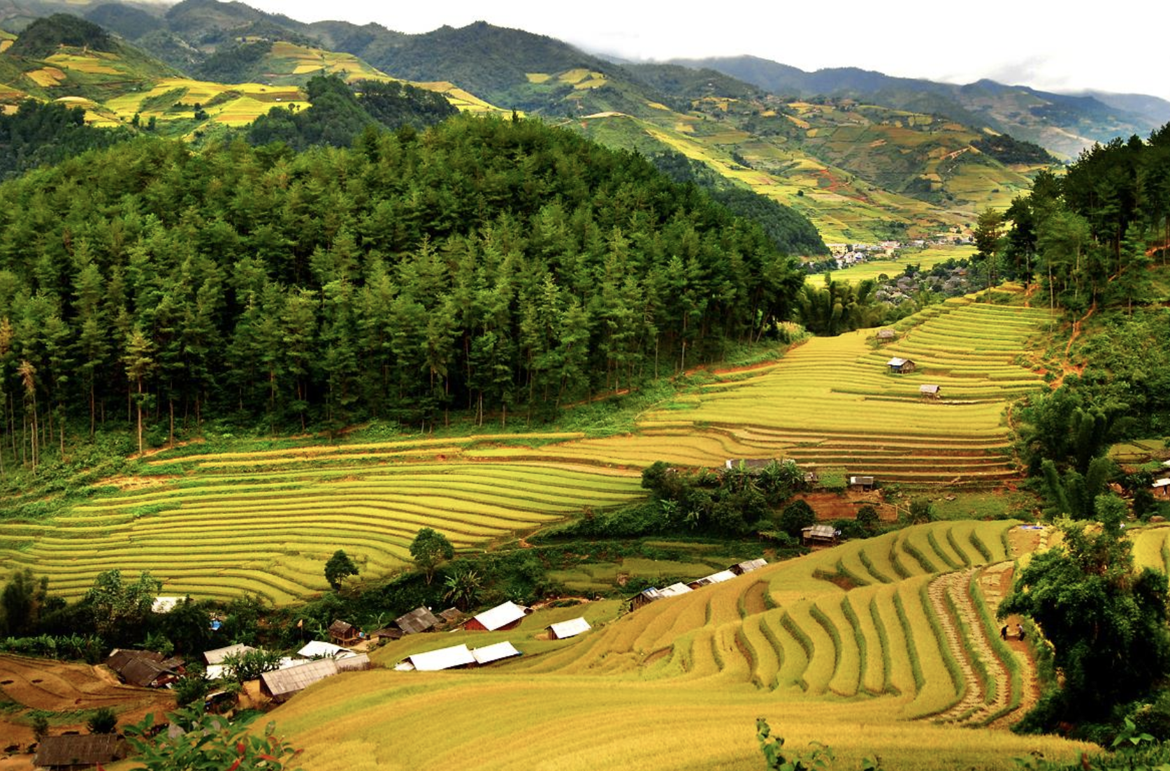 Bắt trọn &quot;thời điểm vàng&quot; tận hưởng và trải nghiệm 1 Pù Luông đẹp nhất trong năm với chi phí - Ảnh 1.