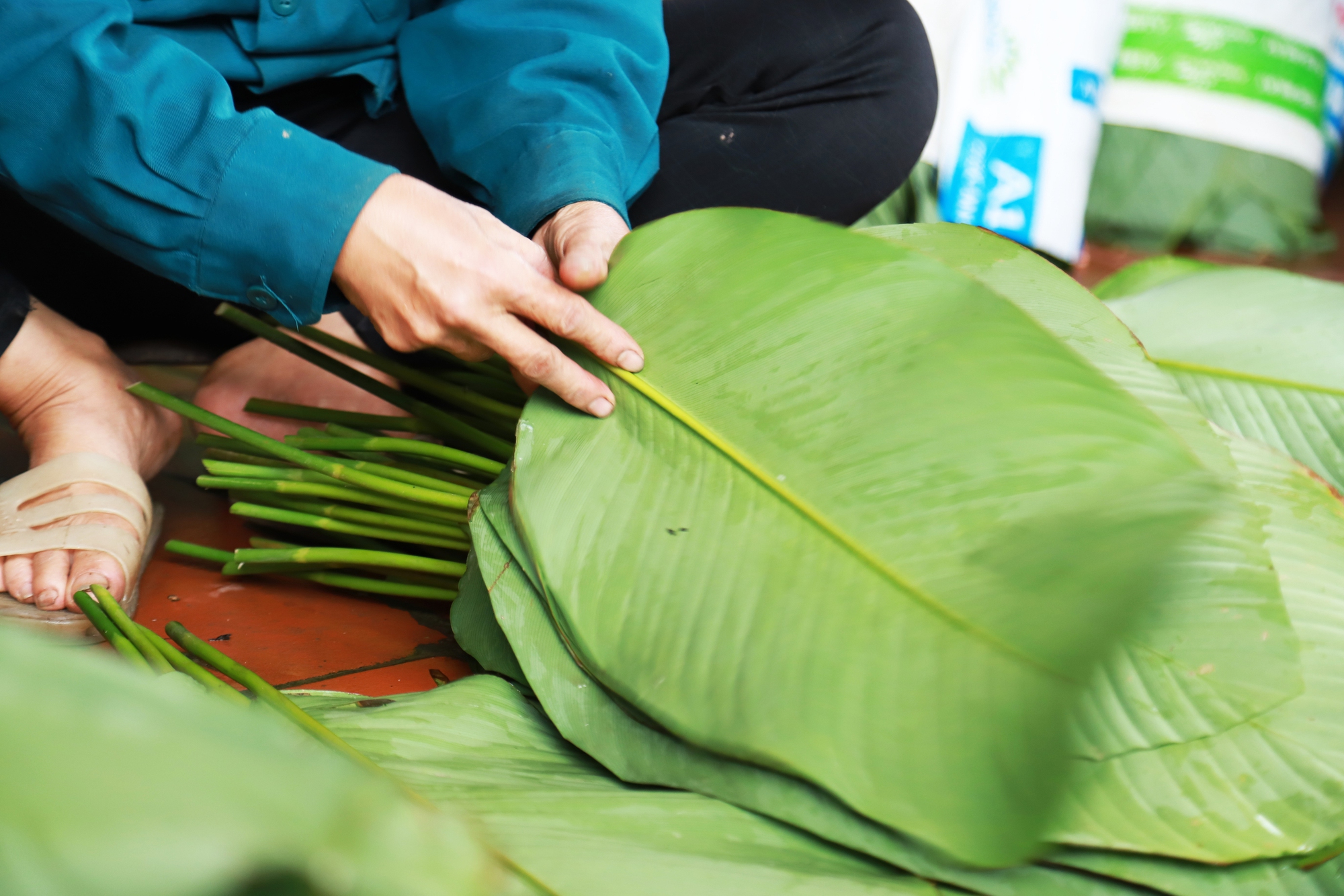 &quot;Dùng loại lá dong nếp gói bánh thì bánh sẽ xanh và ngon hơn, dùng lá dong tẻ thì bánh sẽ bị thâm&quot;, chị Khuyên chia sẻ.