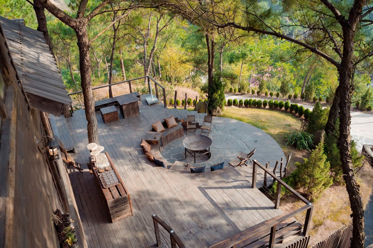 Kaféer med vacker utsikt över tallskogen för kvinnor under denna helgdag - Foto 2. Những quán cafe view rừng thông đẹp mê ly để chị em  trong đợt nghỉ lễ này - Ảnh 2.