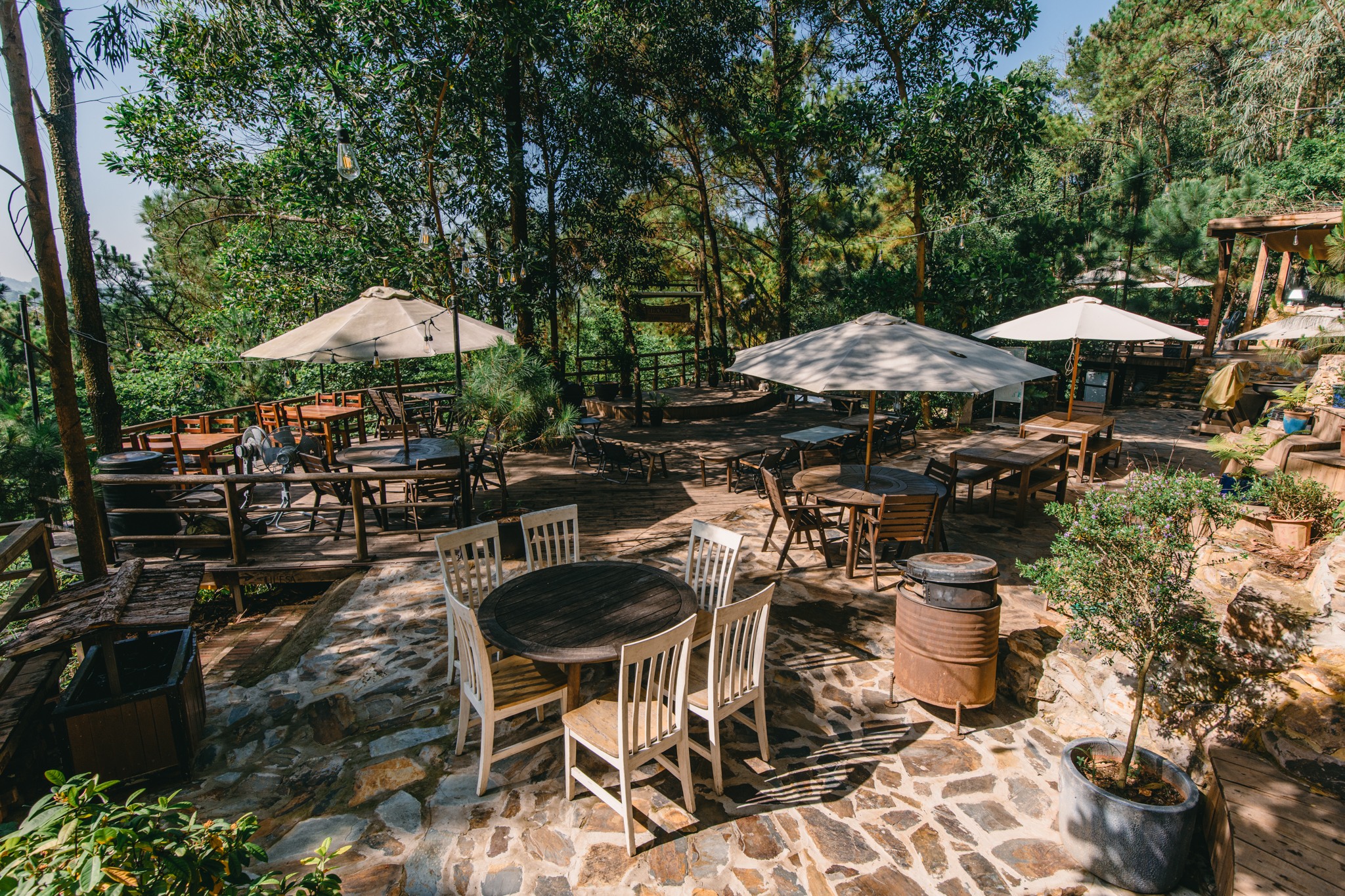 Caféet med utsikt över tallskogen liknas vid ett  Những quán cafe view rừng thông đẹp mê ly để chị em  trong đợt nghỉ lễ này - Ảnh 8.