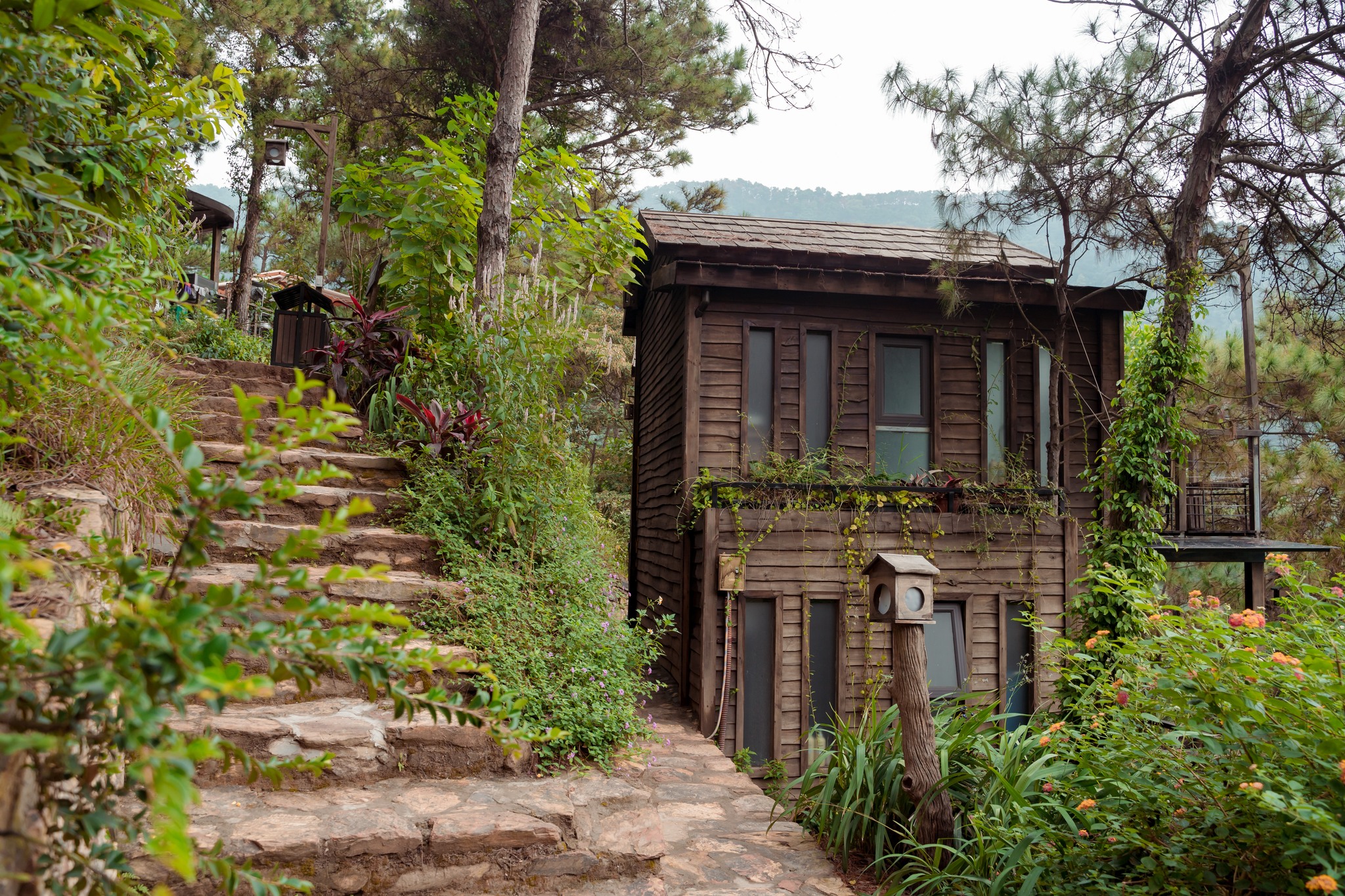 Kaféer med vacker utsikt över tallskogen för kvinnor under denna helgdag - Foto 4. Những quán cafe view rừng thông đẹp mê ly để chị em  trong đợt nghỉ lễ này - Ảnh 4.