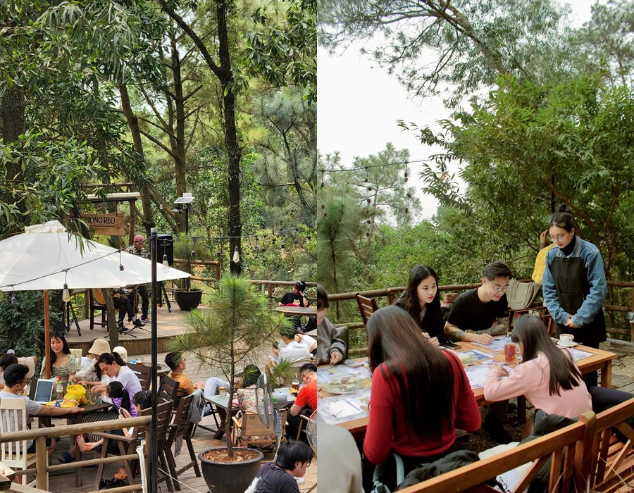 Quán cafe view rừng thông được ví như "Đà Lạt thu nhỏ", ngay sát Hà Nội, chị em tha hồ "sống ảo" trong đợt nghỉ lễ này - Ảnh 18.