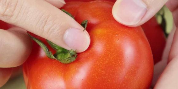 &quot;Tại sao cà chua ngày nay 'cứng' và có thể bảo quản vài tuần mà không bị hỏng?&quot;: Đây là câu trả lời cho bạn  - Ảnh 4.