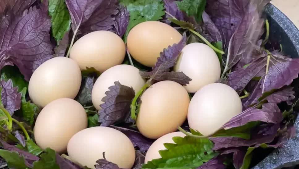 Thêm loại lá quen thuộc này vào khi luộc trứng: Chưa ai làm bao giờ nhưng cực thơm ngon và tốt cho sức khỏe gấp trăm lần - Ảnh 3.