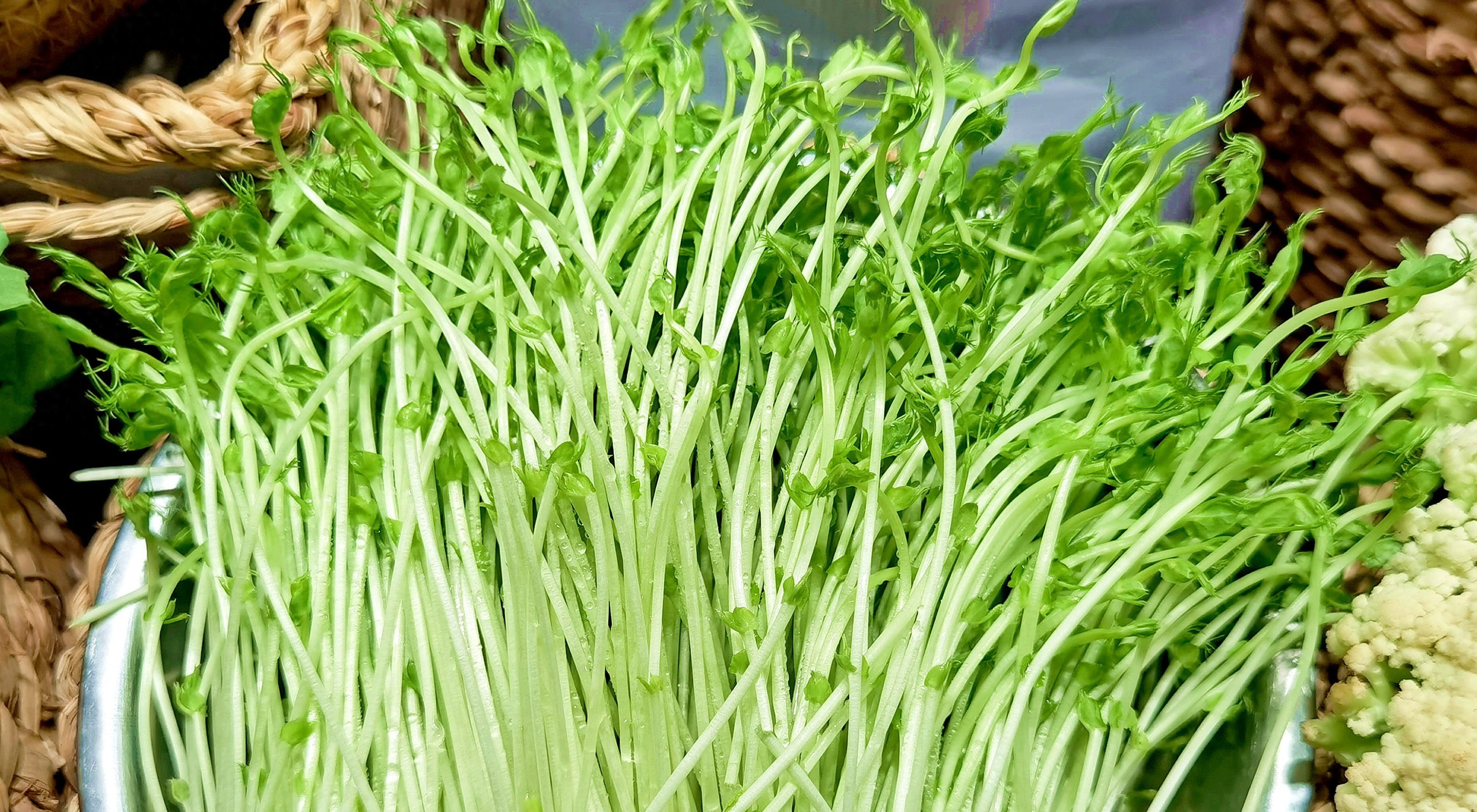 Mùa xuân, nếu không ăn 3 loại rau này thì quả là thiếu sót: Có tác dụng thanh nhiệt, sáng mắt, vừa bổ tỳ lại dưỡng dạ dày - Ảnh 1.