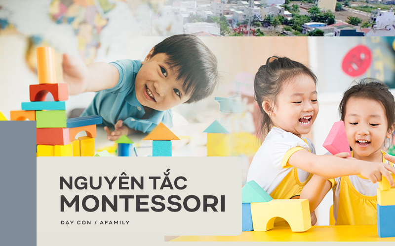 Những nguyên tắc thiết yếu của phương pháp giáo dục Montessori: Trẻ luôn được chú trọng hàng đầu