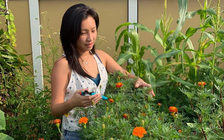 Cô gái trẻ quyết tâm biến sân thượng 20m² thành khu vườn hữu cơ trồng không thiếu thứ gì 