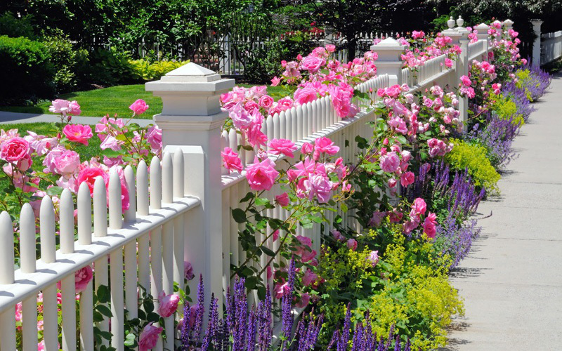 10 ý tưởng lắp hàng rào để vừa tăng cường an toàn lại vừa giúp ngôi nhà thêm phần phong cách
