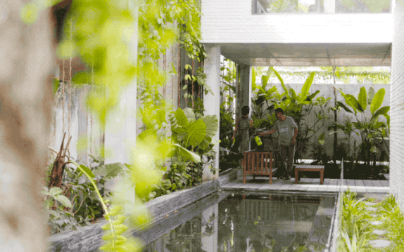 Ngôi nhà đầy gió tự nhiên, cây xanh và ánh sáng thân thiện với môi trường dành cho gia đình 5 người ở Đà Nẵng