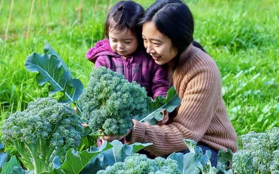 Mẹ Việt quyết tâm trồng cả vườn rau quả sạch, sống xanh để hai con có tuổi thơ an lành