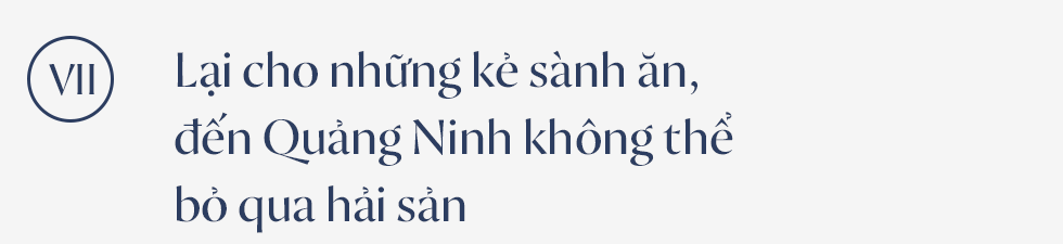 3 ngày 2 đêm ở Quảng Ninh: Đi để biết “xứ sở vàng đen” vẫn còn quá nhiều kỳ diệu để khám phá cùng nhau! - Ảnh 30.