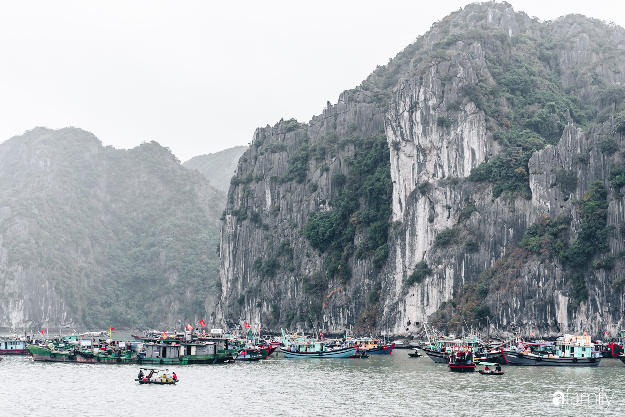 3 ngày 2 đêm ở Quảng Ninh: Đi để biết “xứ sở vàng đen” vẫn còn quá nhiều kỳ diệu để khám phá cùng nhau! - Ảnh 21.