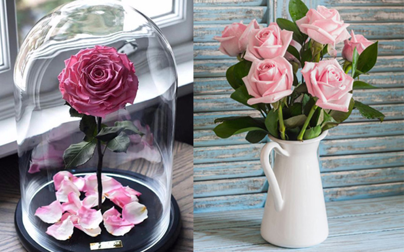Chọn loài hoa hồng bạn thích để biết mình có được tỏ tình tại nơi làm việc hay không?