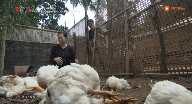 "Cô gái nhà người ta": Khoa định bỏ đi nhưng vẫn không yên với ông Tài, đến bố cũng gặp tai nạn - Ảnh 1.